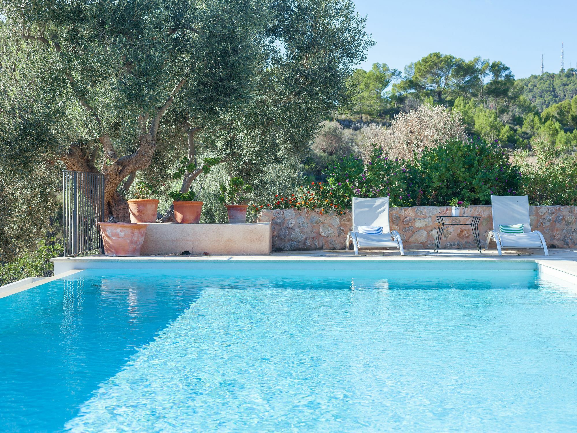 Villa Finca Luisa Para 6 Con Piscina Y Vista Mar Port D'Andratx Zewnętrze zdjęcie